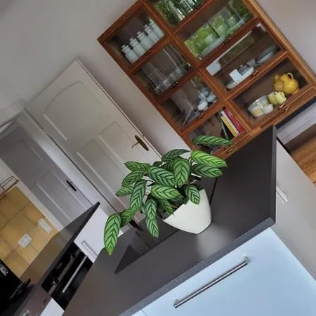 Ferienhaus Pferdekopfhaus Traben-Trarbach