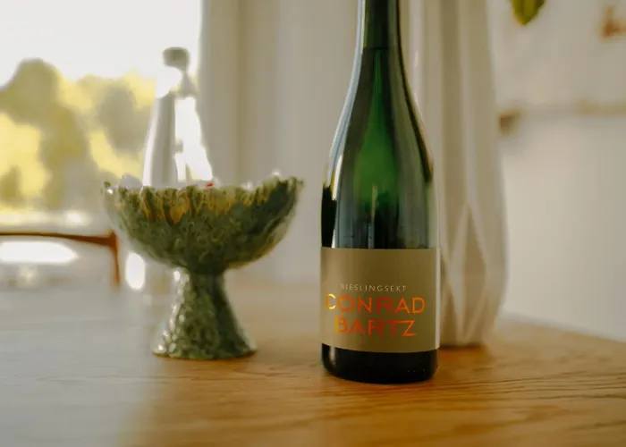 Pferdekopfhaus * 特拉本特拉巴赫