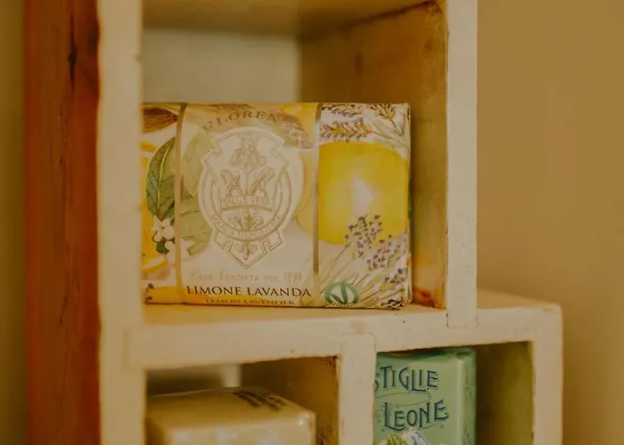 Pferdekopfhaus 特拉本特拉巴赫